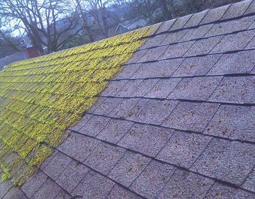 Roof soft wash and moss removal in Spokane Valley