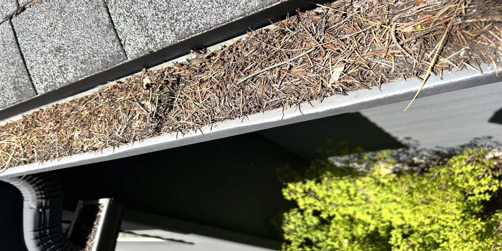 Downspouts clog easily in Spokane, WA and may need to be flushed out.