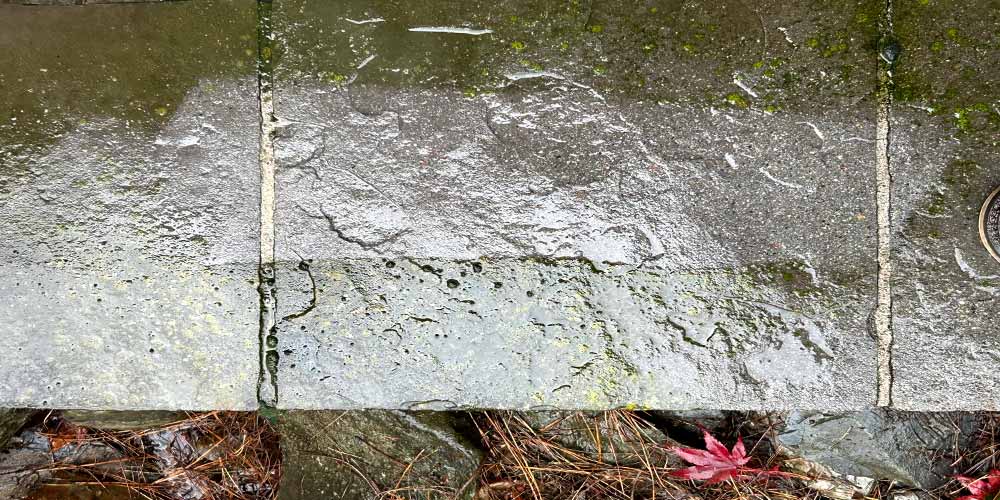 Scheduling your home's pressure washing should be done at least once a year.