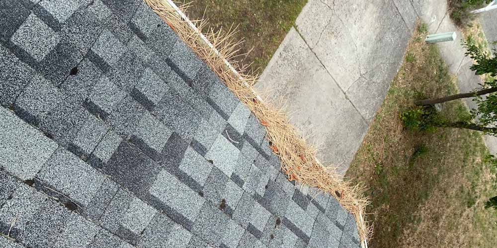 There are hidden costs to not getting your gutters cleaned regularly.