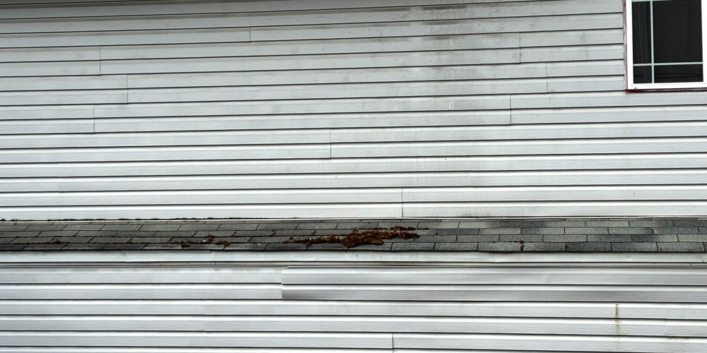 Soft washing your Spokane roof can remove organic growth, such as moss.