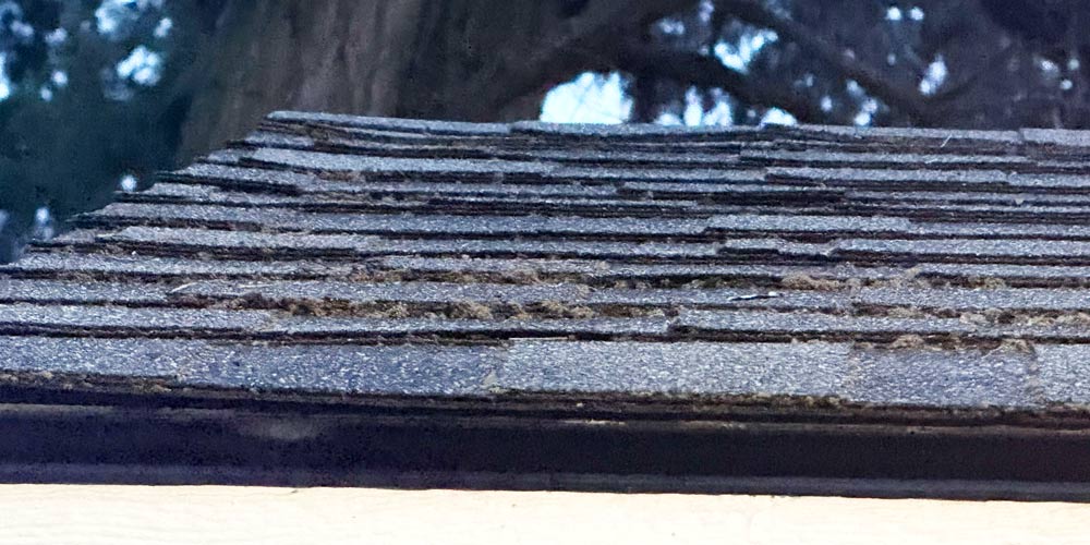 Using a pressure washer to clean roof moss damage needs to be done carefully.