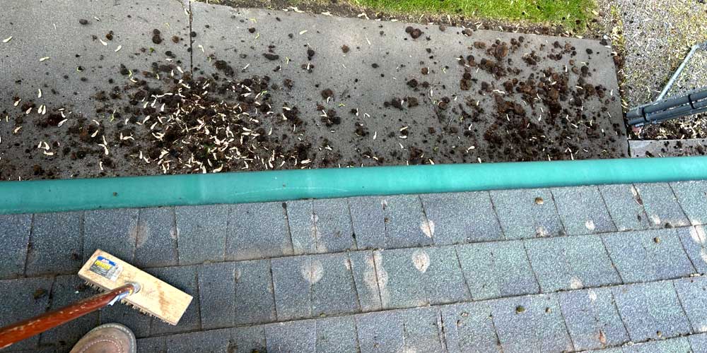 Caring for your Spokane home requires roof moss cleaning to prevent damage.