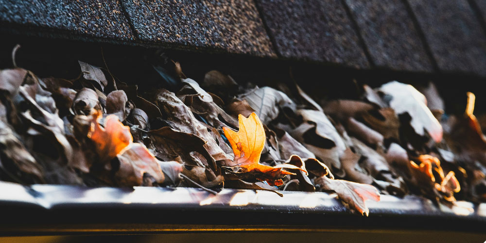 If your gutters are full of debris, this can cause moss damage on your roof.