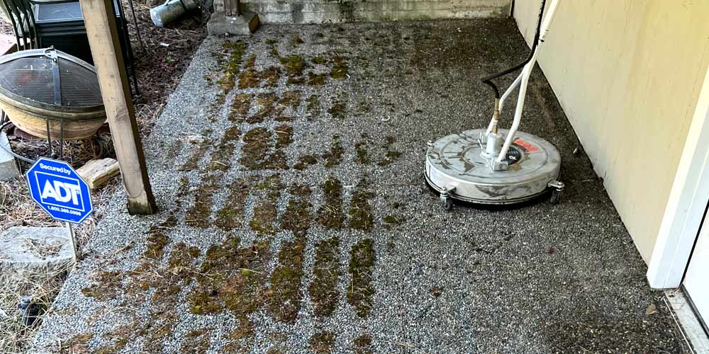 Keeping on top of seasonal exterior cleaning for positive home improvements & add to curb appeal.